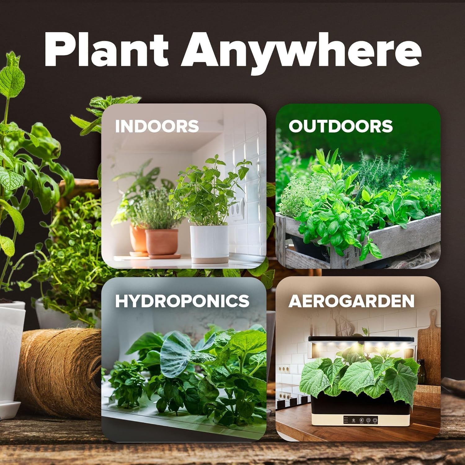 10 Heirloom Vegetable Seeds - 2000+ Survival Bugout Seeds and Essential Emergency Prepper Gear - Non GMO Vegetable Seeds for Planting Home Garden Pack