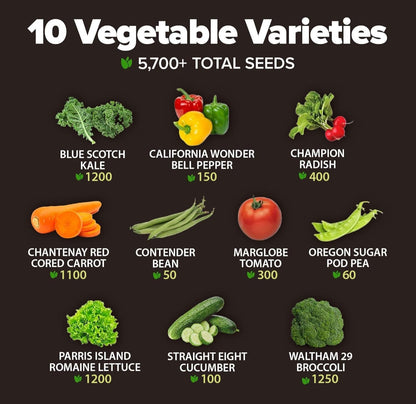 10 Heirloom Vegetable Seeds - 2000+ Survival Bugout Seeds and Essential Emergency Prepper Gear - Non GMO Vegetable Seeds for Planting Home Garden Pack